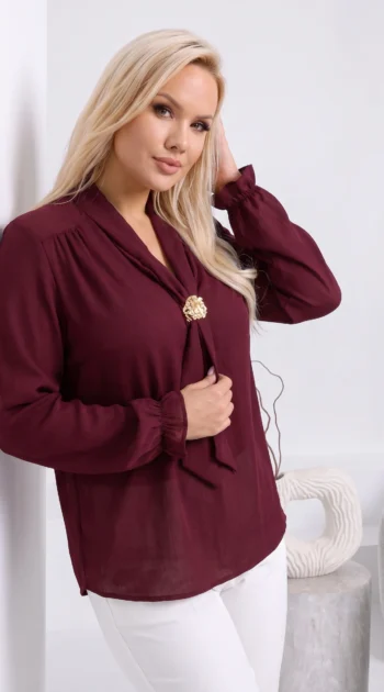 camasa-eleganta-cu-esarfa-la-guler-si-accesoriu-auriu